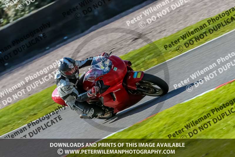 Oulton Park 20th March 2020;PJ Motorsport Photography 2020;anglesey;brands hatch;cadwell park;croft;donington park;enduro digital images;event digital images;eventdigitalimages;mallory;no limits;oulton park;peter wileman photography;racing digital images;silverstone;snetterton;trackday digital images;trackday photos;vmcc banbury run;welsh 2 day enduro